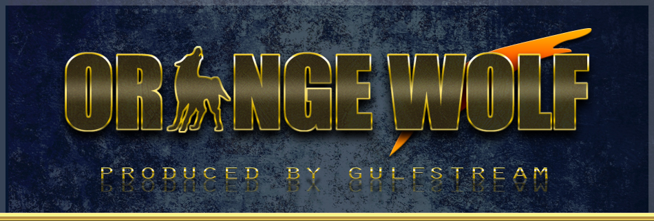 BMW、アルピナパーツメンテナンス専門店ガルフストリーム / 【ORANGE WOLF】オレンジウルフ BMW、アルピナパーツメンテナンス専門店ガルフストリーム / 【ORANGE WOLF】オレンジウルフ